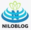 دیجیتال کوینز